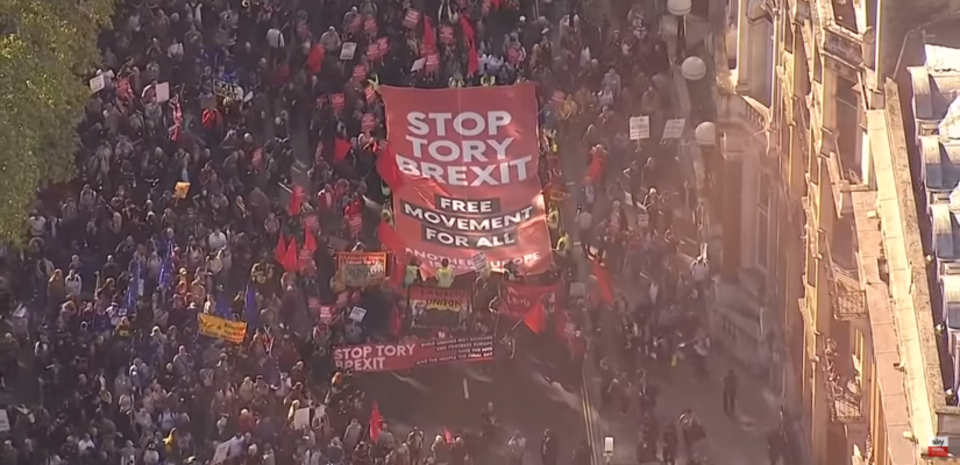 Protest w Londynie  / autor: YouTube:  Sky News