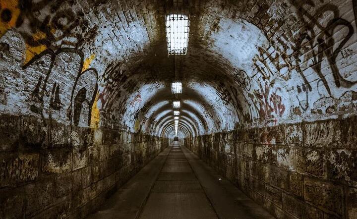 Policja zlikwidowała dwa tunele wykopane pod granicą węgiersko-serbską / autor: Pixabay.com