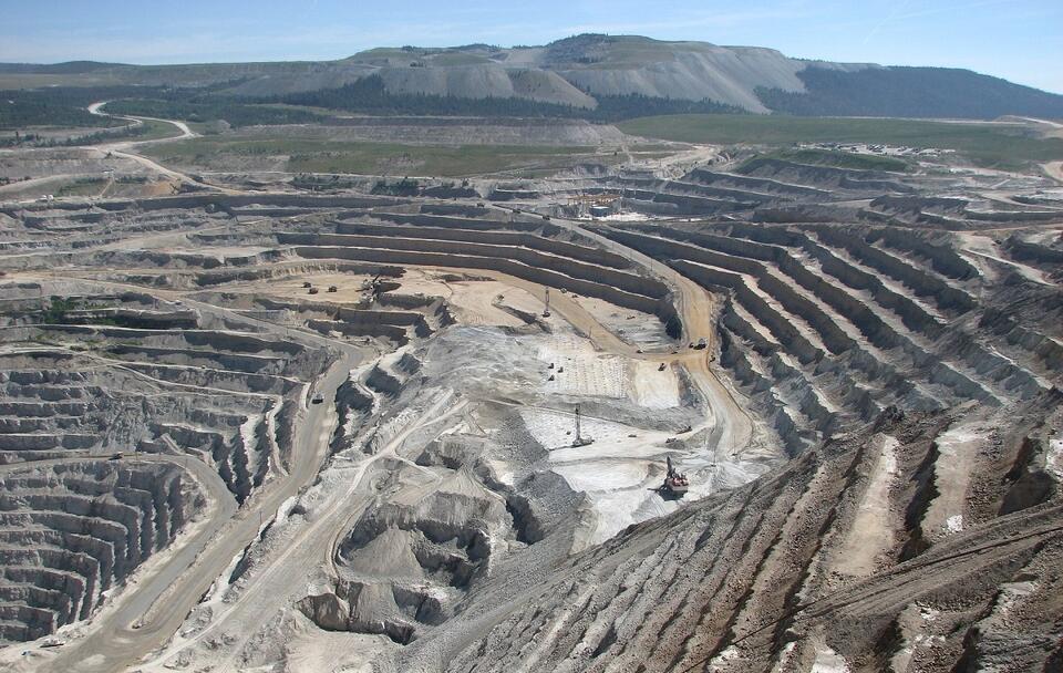 Zdjęcie ilustracyjne / autor: Pixabay