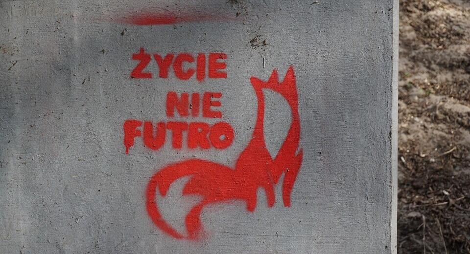 autor: Fratria