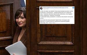Wielichowska w końcu zabrała głos nt. afery pedofilskiej / autor: Fratria