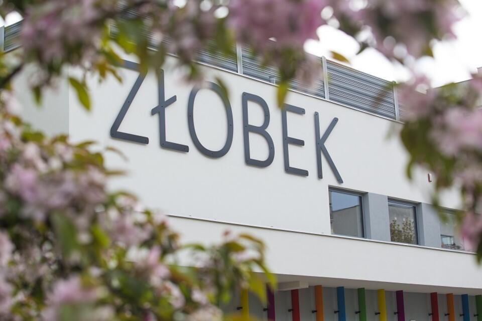 Żłobek w Warszawie / autor: Fratria