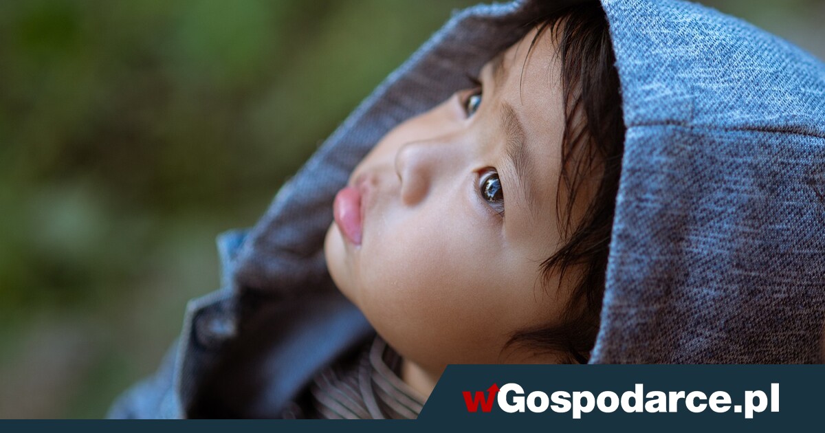 Tak kończy się ingerencja rządów w rodzinę