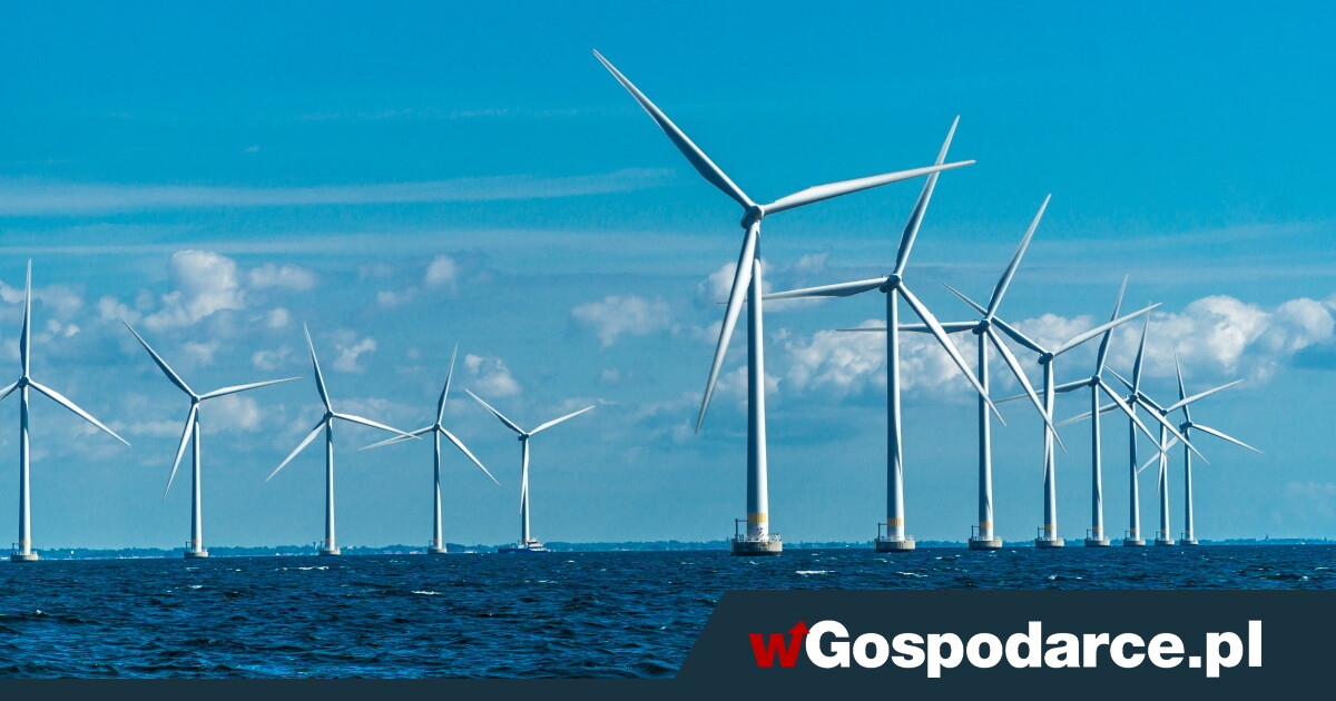 Kolosy wyższe niż Pałac Kultury i Nauki. "Cena za MWh prawie 1000 euro"