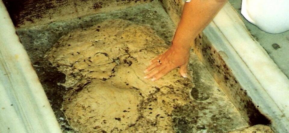 autor: fot. CC BY-SA 4.0/ Aw58/commons.wikimedia.org