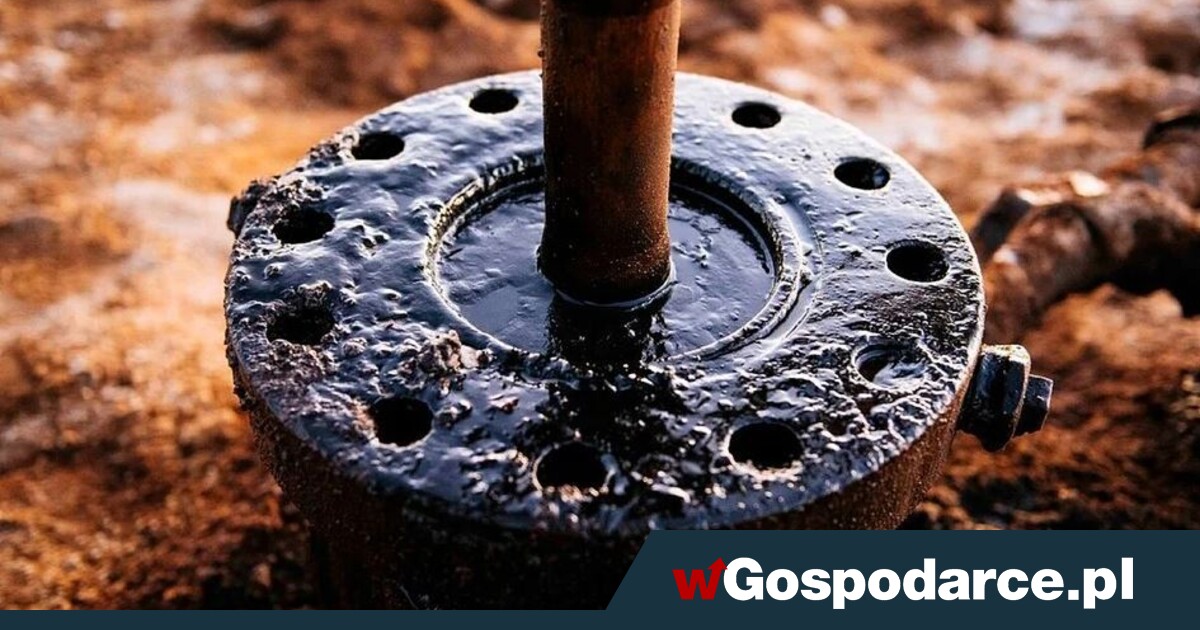 The large  Rebound on the Oil Market