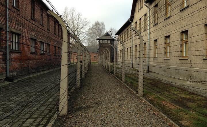 Auschwitz / autor: Pixabay