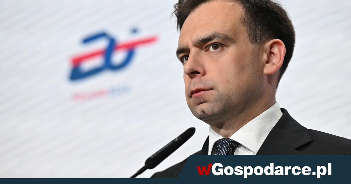 Domański: Polska wspiera ReArm Europe
