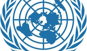 Specjalne posiedzenie Rady Bezpieczeństwa ONZ po ataku Korei na Japonię