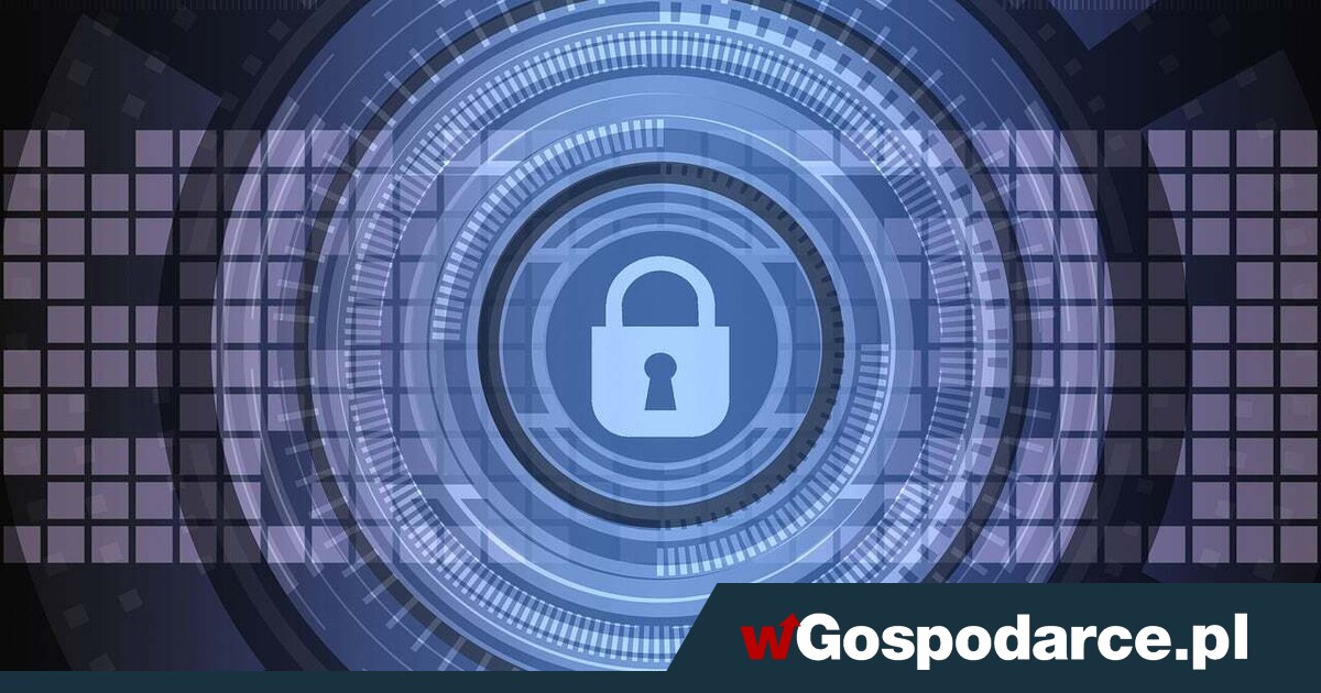 Cyberprzestępcy okradają handel na 87 mld zł rocznie