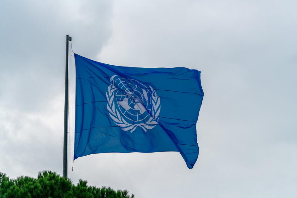 Flaga ONZ / autor: fratria 
