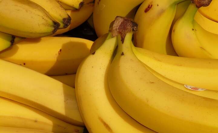 Szokujące znalezisko: kokaina w bananach!