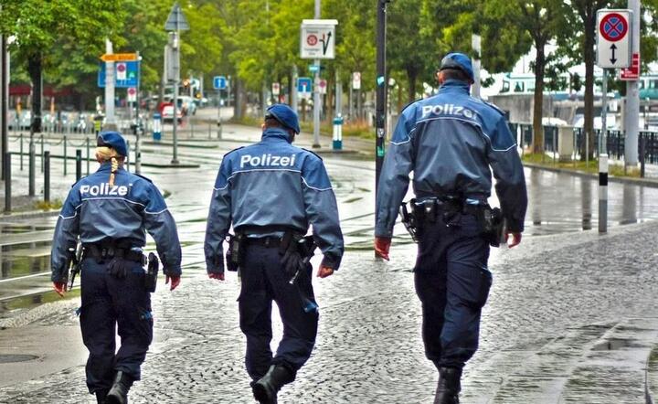 Niemiecka policja walczy z arabską przestępczością  / autor: Pixabay