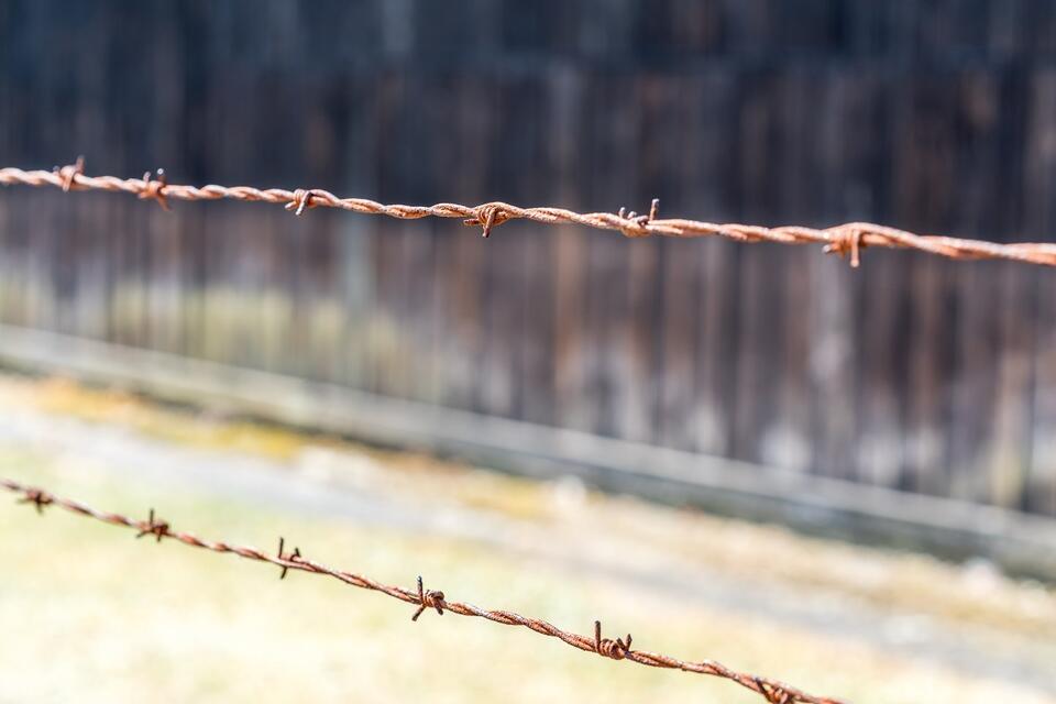 Drut kolczasty na terenie b. niemieckiego obozu koncentracyjnego Stutthof / autor: Fratria