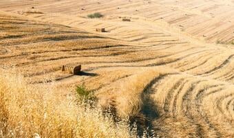 MF za podatkiem dochodowym dla rolników o przychodach powyżej 100 tys. zł