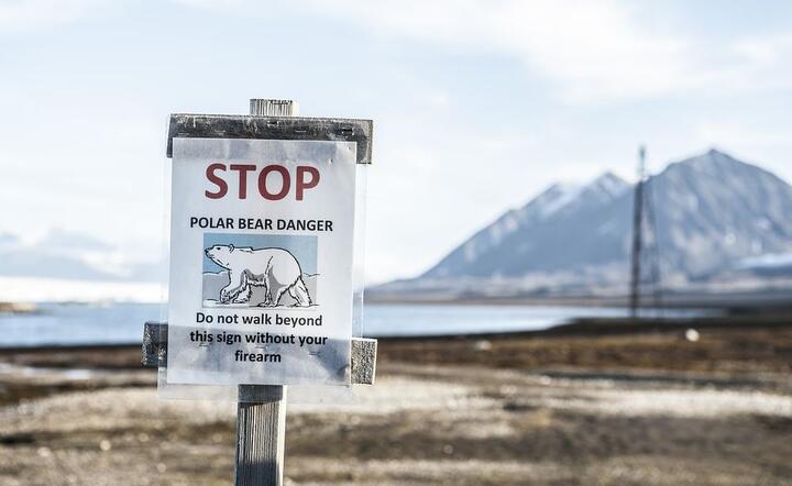 Ostrzeżenie na Spitsbergenie / autor: Pixabay