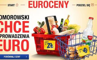 Jak zmienią się ceny po wejściu Polski do strefy euro? SPRAWDŹ