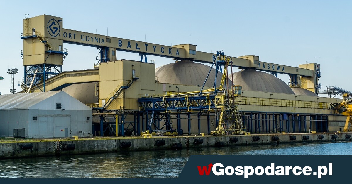 Dramat w porcie Gdynia: terminal zbożowy sparaliżowany!