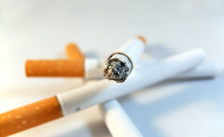 Wzrost akcyzy na papierosy o 10 proc. / autor: Pixabay