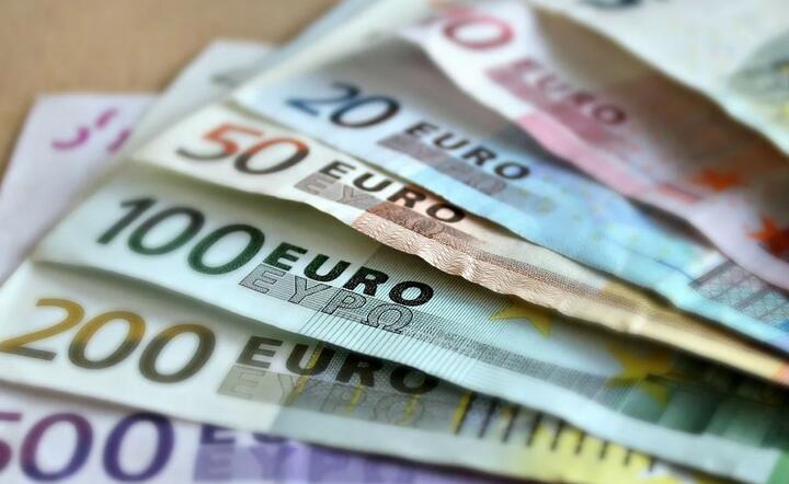Litwa podsumowuje korzyści i straty wprowadzenia euro  / autor: Pixabay