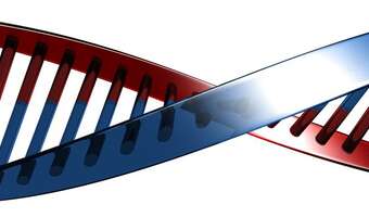 Rynek stopy procentowej - komentarz