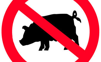 Rosjanie: import wieprzowiny z Polski najwcześniej za trzy lata