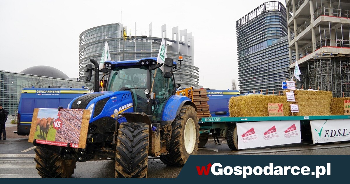 Czy 20 grudnia będzie umowa UE-Mercosur? Paryż mówi nie