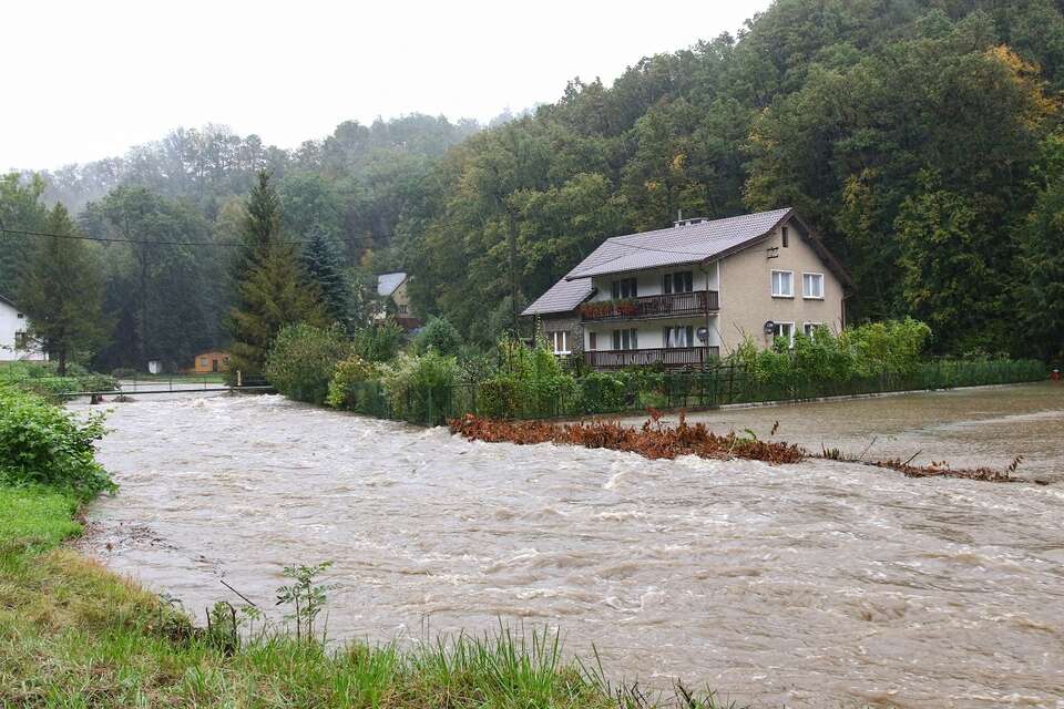 Jarnołtówek / autor: PAP/Krzysztof Świderski