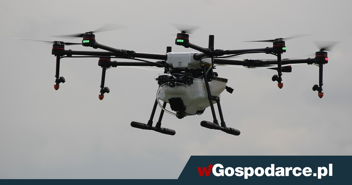 Zagadkowe roje dronów. Czy to agresja na USA?