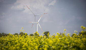 PSE: Od środy jest nowy rekord wytwarzania energii z wiatru