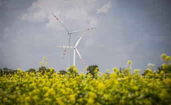 PSE: Od środy jest nowy rekord wytwarzania energii z wiatru