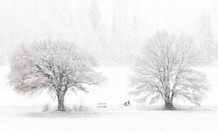 Początek zimy w Zurychu / autor: PAP/EPA