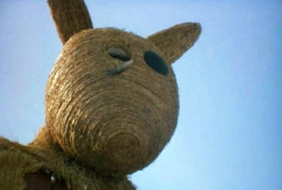 fot. materiały prasowe