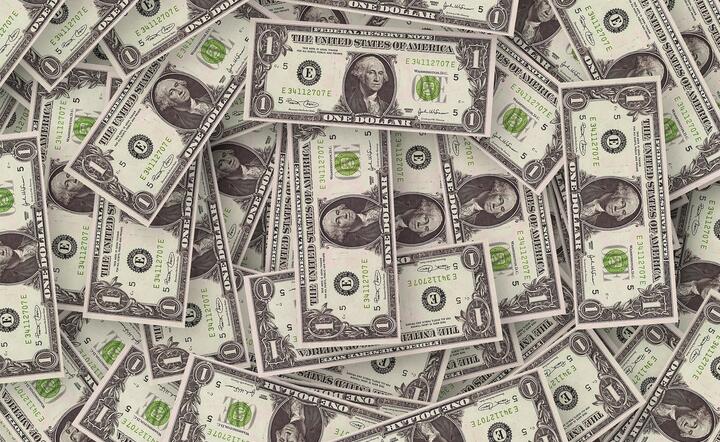banknoty dolarowe / autor: Pixabay