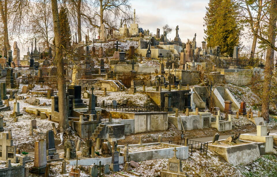 Cmentarz na Rossie / autor: Fratria