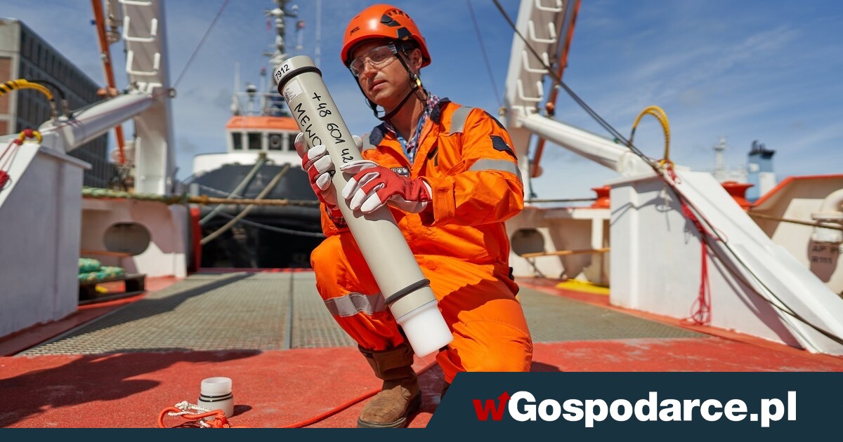 Farma wiatrowa na morzu. Jak zadbać o przyrodę?