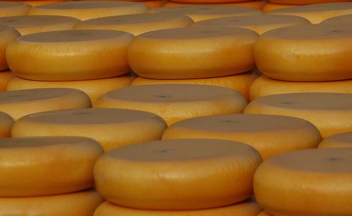 Producenci sera nie dostaną wsparcia. KE zawiesiła rekompensaty. Chodzi o duże nieprawidłowości