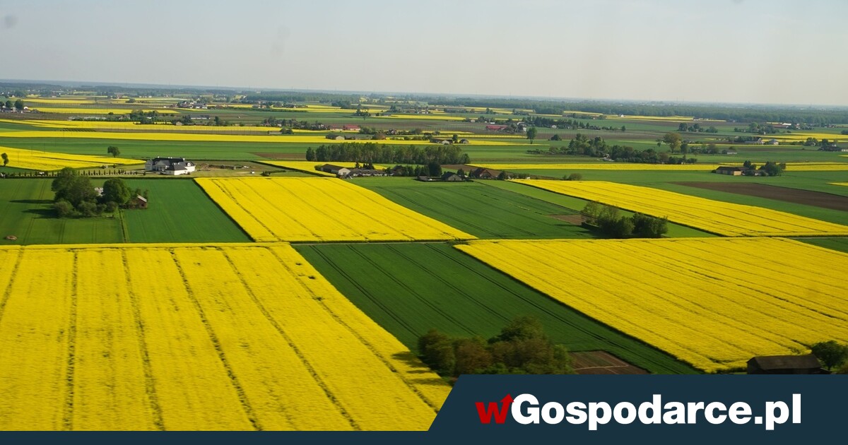 Ziemia rolna coraz droższa