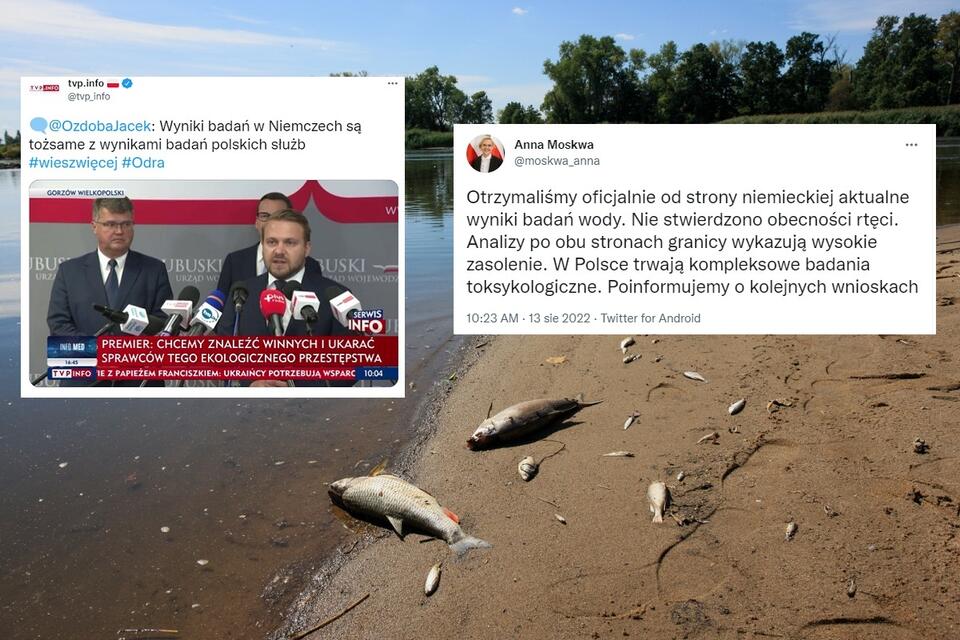 Śnięte ryby w Odrze w okolicy wsi Cigacice (woj. lubuskie) / autor: PAP/Lech Muszyński; Twitter