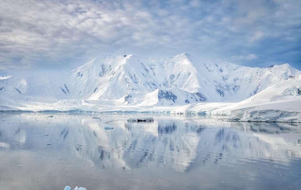 autor: Pixabay/AlKalenski