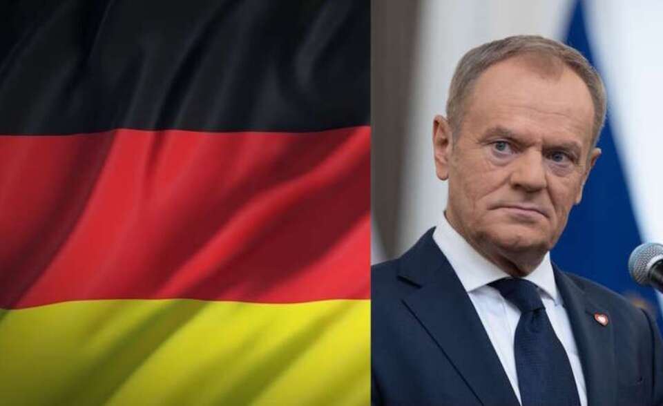 autor: Fratria/Pixabay