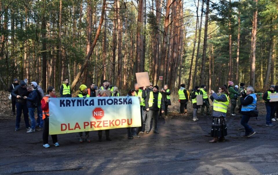 Protest przeciwko wycince drzew / autor: PAP/Marcin Gadomski