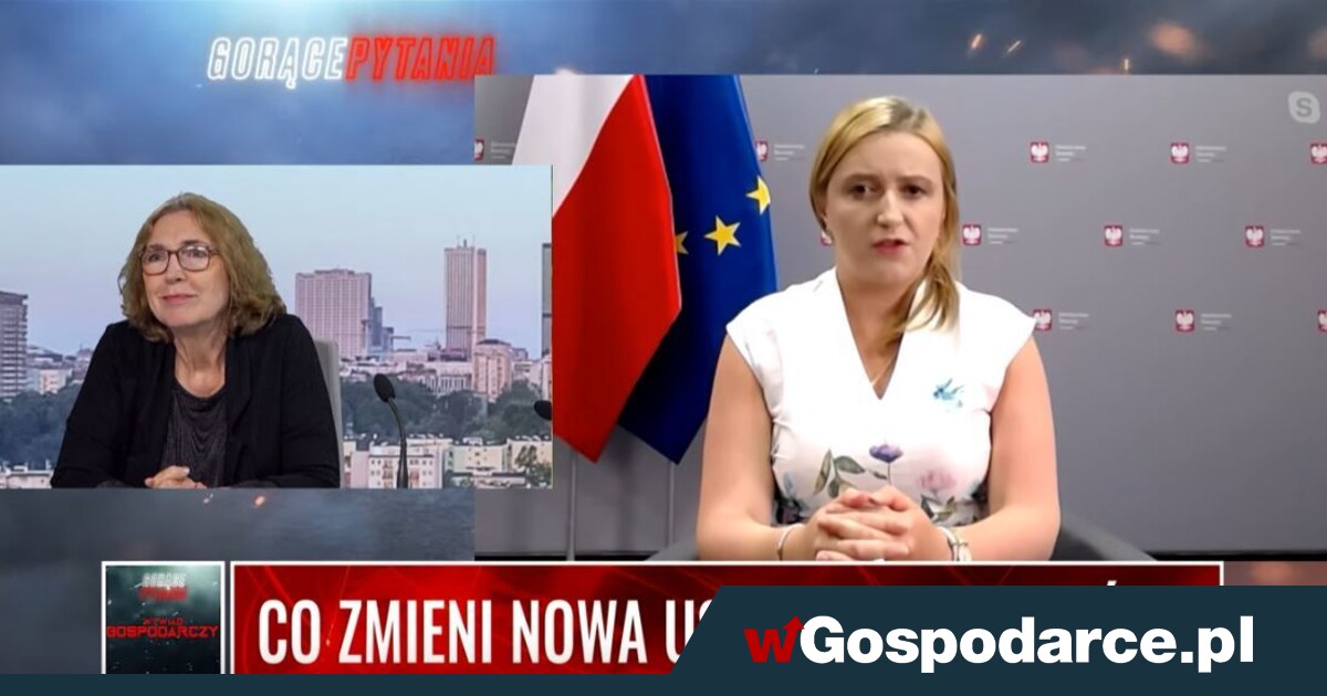 Co zmieni nowa ustawa o rzemiośle? VIDEO - wGospodarce.pl