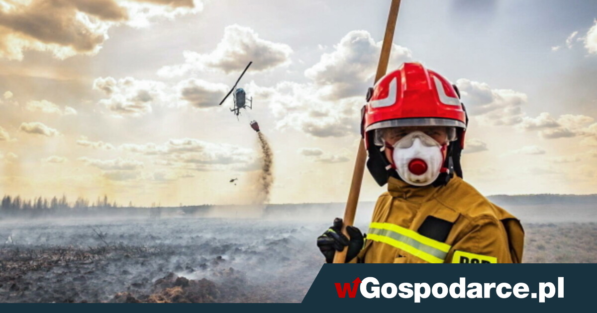 Pożar nad Biebrzą. Strażacy dogaszają ogień
