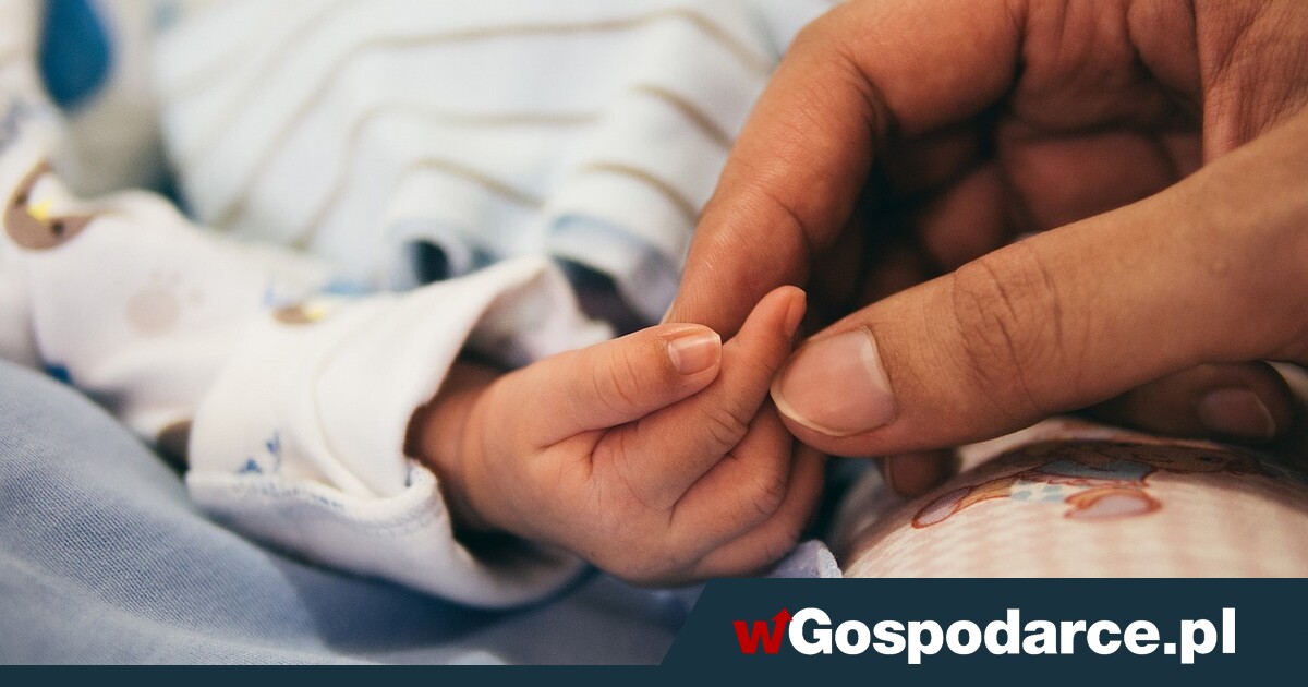 Ubywa nas! Zwłaszcza w miastach