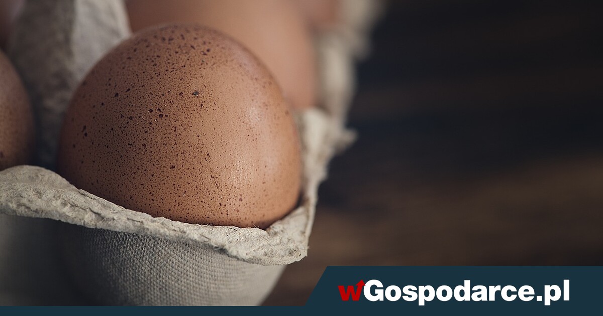 Drogie jak… polskie jajko