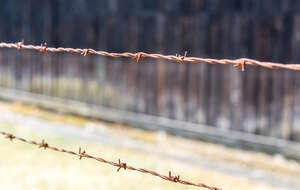 "Dziś Niemcy polują inaczej, ale jeszcze nie tak dawno...". Reparacje i cena pracy niewolniczej w księgach KL Stutthof. Na zdjęciu drut kolczasty w KL Stutthof / autor: Fratria