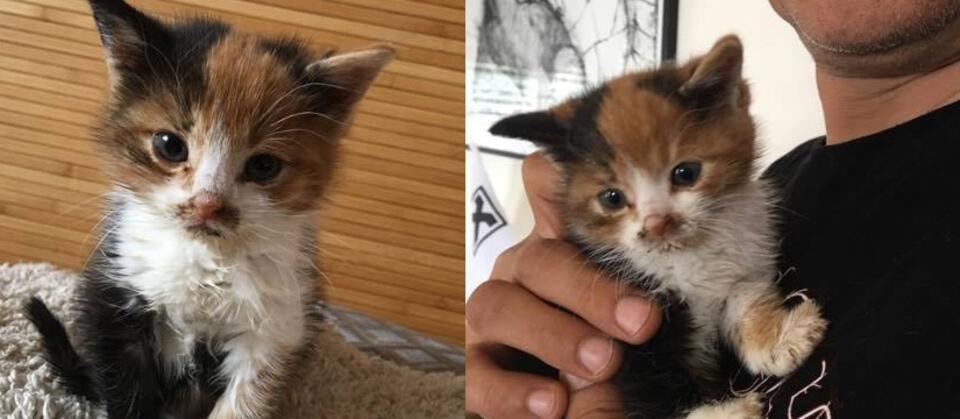 autor: fot. Facebook