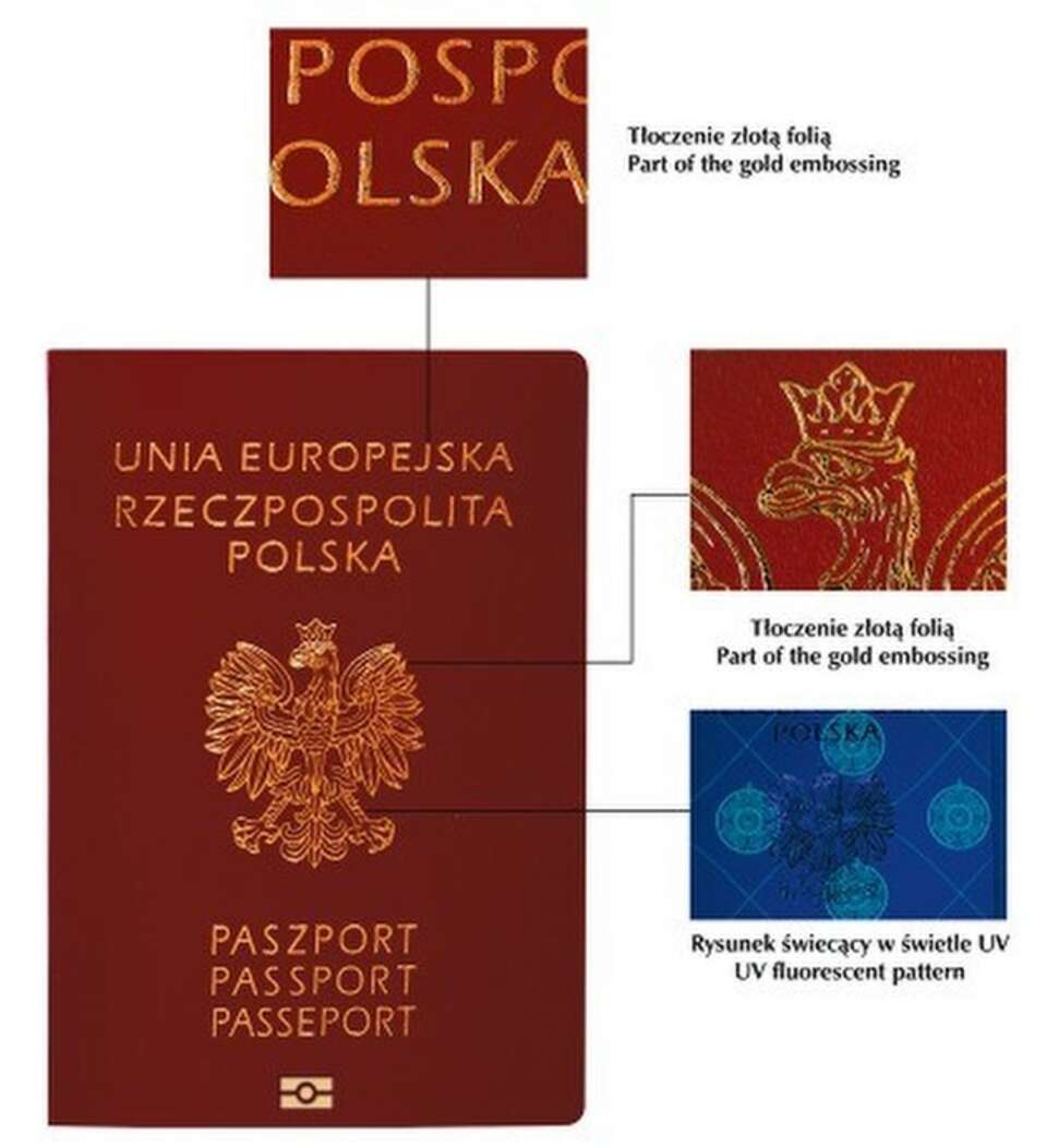 msw.gov.pl