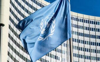 Niemcy wpychają się do  Rady Bezpieczeństwa ONZ